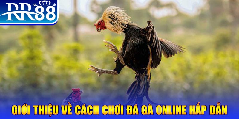 go88 code casino ĐĂNG NHẬP
