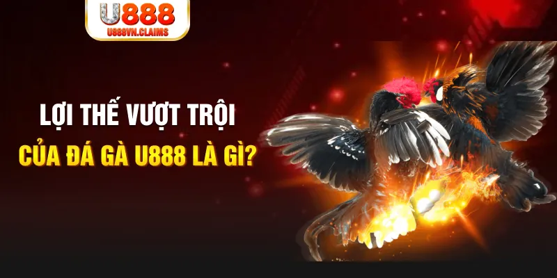 hi88 vip sòng bạc LINK MỚI